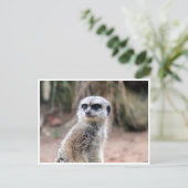 meerkeukenwacht briefkaart (Staand voorkant)