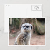 meerkeukenwacht briefkaart (Voorkant / Achterkant)