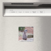 meerkeukenwacht magneet (Insitu (Vaatwasser))