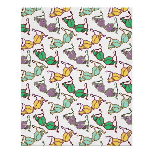 Meerkleurig Bra-patroon Perfect Poster (Voorkant)