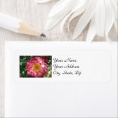 Meerkleurig Roos Etiket (Insitu)