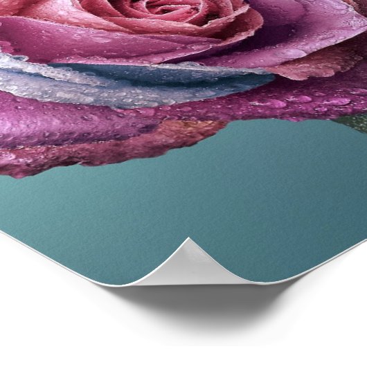 Meerkleurig Roos Poster (Hoek)