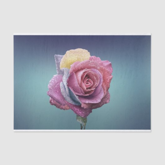 Meerkleurig Roos Tissuepapier (Voorkant)