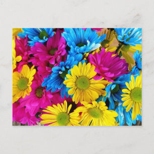 Meerkleurig Zonnebloem Briefkaart