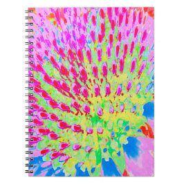 Meerkleurige Abstracte regenboogkloonventilator Notitieboek