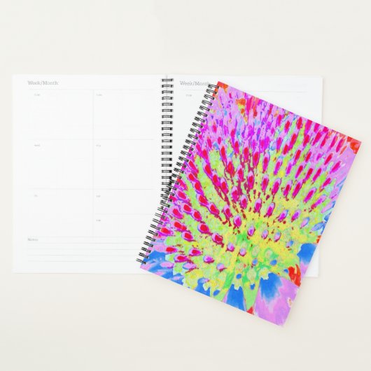 Meerkleurige Abstracte regenboogkloonventilator Planner (Display)