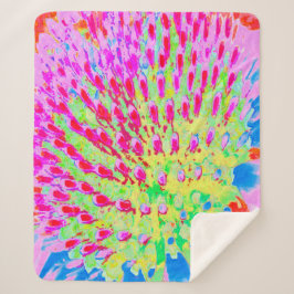 Meerkleurige Abstracte regenboogkloonventilator Sherpa Deken