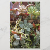 Meerkleurige Cactussen Briefpapier (Voorkant)