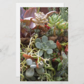 Meerkleurige Cactussen Briefpapier (Voorkant / Achterkant)