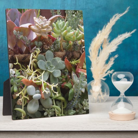 Meerkleurige Cactussen Fotoplaat (Zijkant)