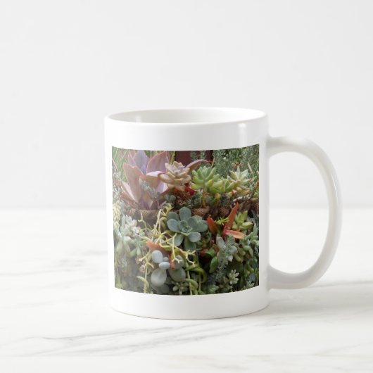 Meerkleurige Cactussen Koffiemok (Rechts)
