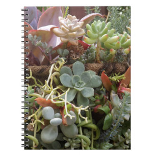 Meerkleurige Cactussen Notitieboek