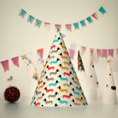 Meerkleurige Cartoon Feesthoedjes