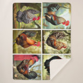 Meerkleurige hanen sherpa deken (Voorkant)