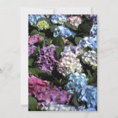 Meerkleurige hydrangea Flowers Birthday Party Kaart (Achterkant)