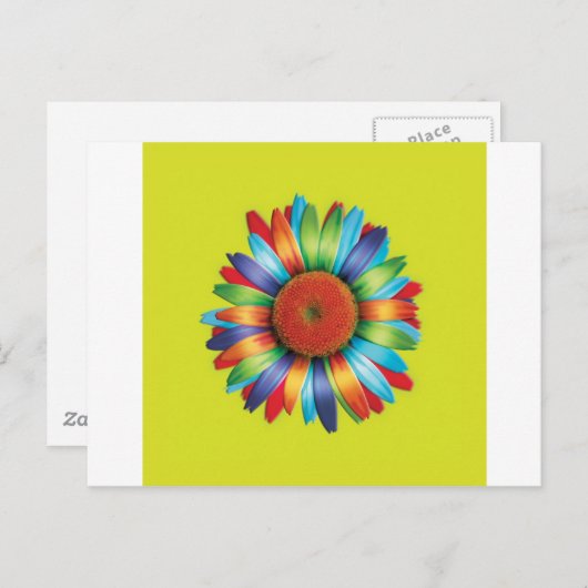 Meerkleurige Madelief Briefkaart (Voorkant / Achterkant)