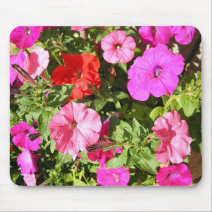 Meerkleurige Petunias Muismat