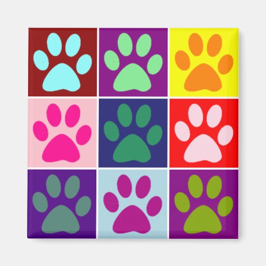 Meerkleurige poten magneet (Voorkant)