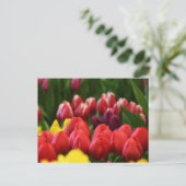 meerkleurige tulpen briefkaart (Staand voorkant)