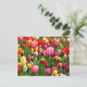 Meerkleurige Tulpen Briefkaart (Staand voorkant)