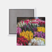 Meerkleurige tulpen magneet (Voorkant / Achterkant)