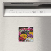Meerkleurige tulpen magneet (Insitu (Vaatwasser))