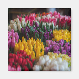 Meerkleurige tulpen magneet