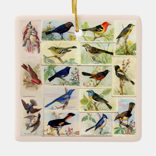  meerkleurige vogelkeramische siervoorwerpen keramisch ornament (Voorkant)