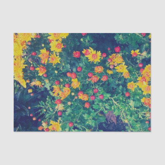 Meerkleurige weide grillige wilde madeliefjes bloe tissuepapier (Voorkant)