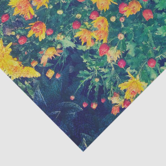 Meerkleurige weide grillige wilde madeliefjes bloe tissuepapier (Detail)