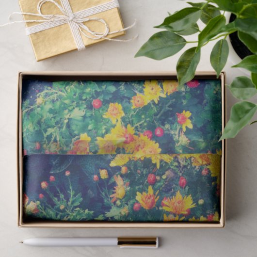 Meerkleurige weide grillige wilde madeliefjes bloe tissuepapier (Geschenk)