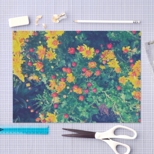 Meerkleurige weide grillige wilde madeliefjes bloe tissuepapier (Craft)