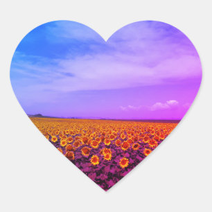 Meerkleurige zonnebloempitten hart sticker