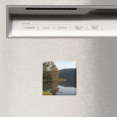 meermagneet magneet (Insitu (Vaatwasser))