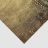 “Meerminnen van de Rijn” door Arthur Rackham Tissuepapier (Detail)