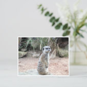 meerstand briefkaart (Staand voorkant)