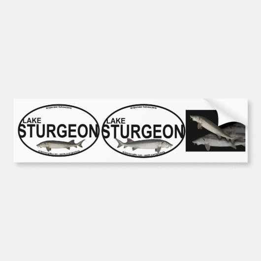 Meersteurbumperstickers Bumpersticker (Voorkant)