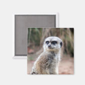 meertalige stallen magneet (Voorkant / Achterkant)