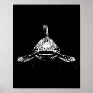 Meerval Angler Meerval Vissen Meerval Visser Visse Poster