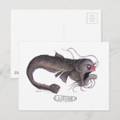 Meerval, tony fernandes briefkaart (Voorkant / Achterkant)