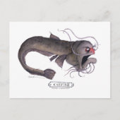 Meerval, tony fernandes briefkaart (Voorkant)