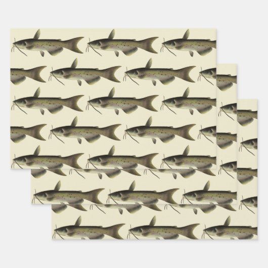meerval Vist, Marine Life River Fish Inpakpapier Vel (Set)