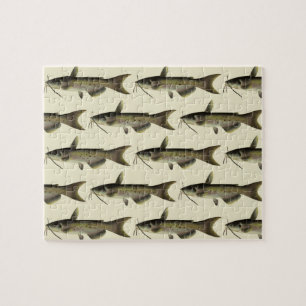 meerval Vist, Marine Life River Fish Legpuzzel