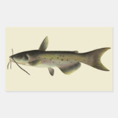 meerval Vist, Marine Life River Fish Rechthoekige Sticker (Voorkant)