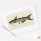 meerval Vist, Marine Life River Fish Rechthoekige Sticker (Envelop)