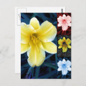 Meervoudig ventiel - Briefkaart van Floral (Voorkant / Achterkant)