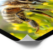 Meervoudige bijen en hommels poster (Hoek)