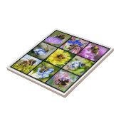 Meervoudige bijen en hommels tegeltje (Zijkant)