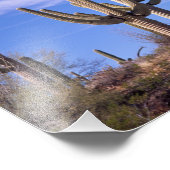 Meervoudige gewapende reuzencactus van Saguaro, Sa Foto Afdruk (Hoek)