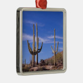 Meervoudige gewapende reuzencactus van Saguaro, Sa Metalen Ornament (Rechts)